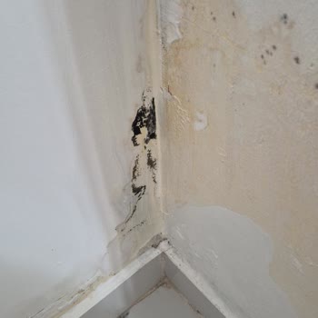 Hijyen Sorunu Ve Ücret Kesintisi İle Tatilbudur.com'un Çözüm Yetersizliği