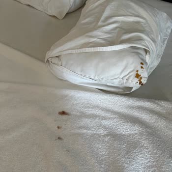 Club Ürgenç Hotel'de Hijyen Ve Fiziki Koşulların Kabul Edilemez Düzeyi