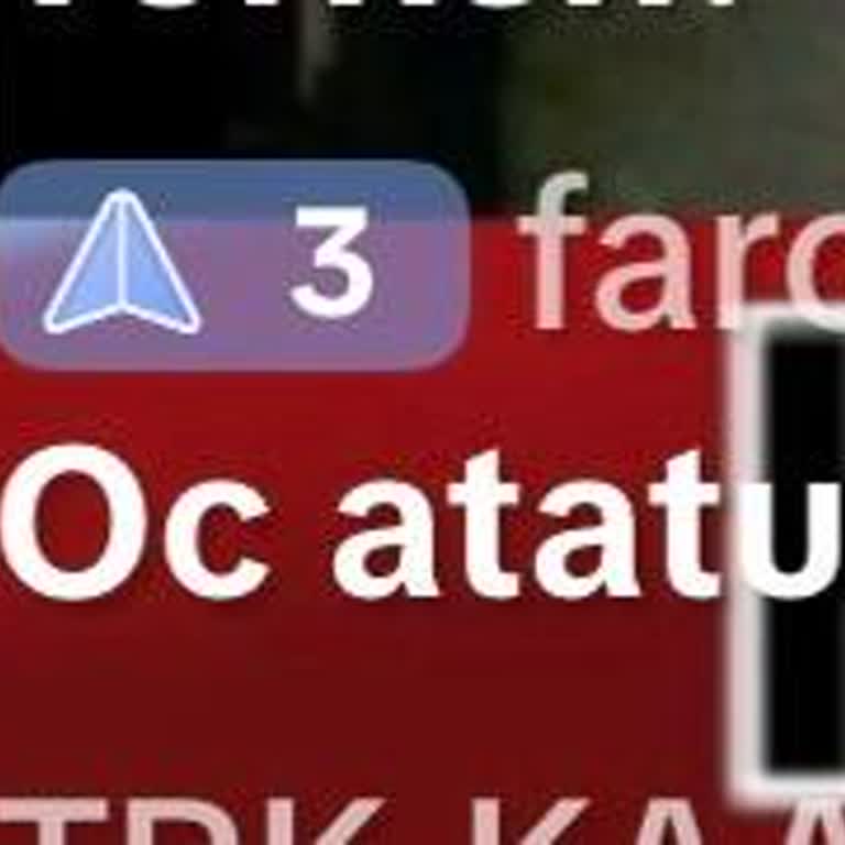 TikTok Hesabında Atatürk'ü Aşağılayan Paylaşımlara 5816 Kanunu Kapsamında Soruşturma Talebi