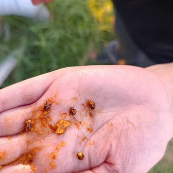 Doritos Hot Corn Ürününde Metal Toplar Çocuğumun Dişine Çatlak Açtı