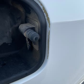 Honda Civic Boya Sorunu Ve Paslanma İçin İyi Niyet Garantisi Talebi