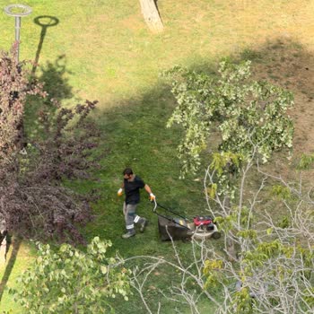 Hafta Sonu Erken Saatlerde Çim Biçme Gürültüsü Mahalleyi Uyandırıyor