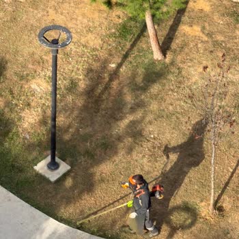 Hafta Sonu Erken Saatlerde Çim Biçme Gürültüsü Mahalleyi Uyandırıyor