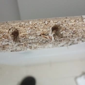 İmpaş Gardırop Kusurlu, Horoz Lojistik Teslim Etmedi: Acil İade Talebi