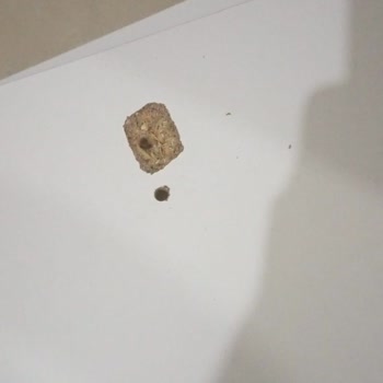 İmpaş Gardırop Kusurlu, Horoz Lojistik Teslim Etmedi: Acil İade Talebi