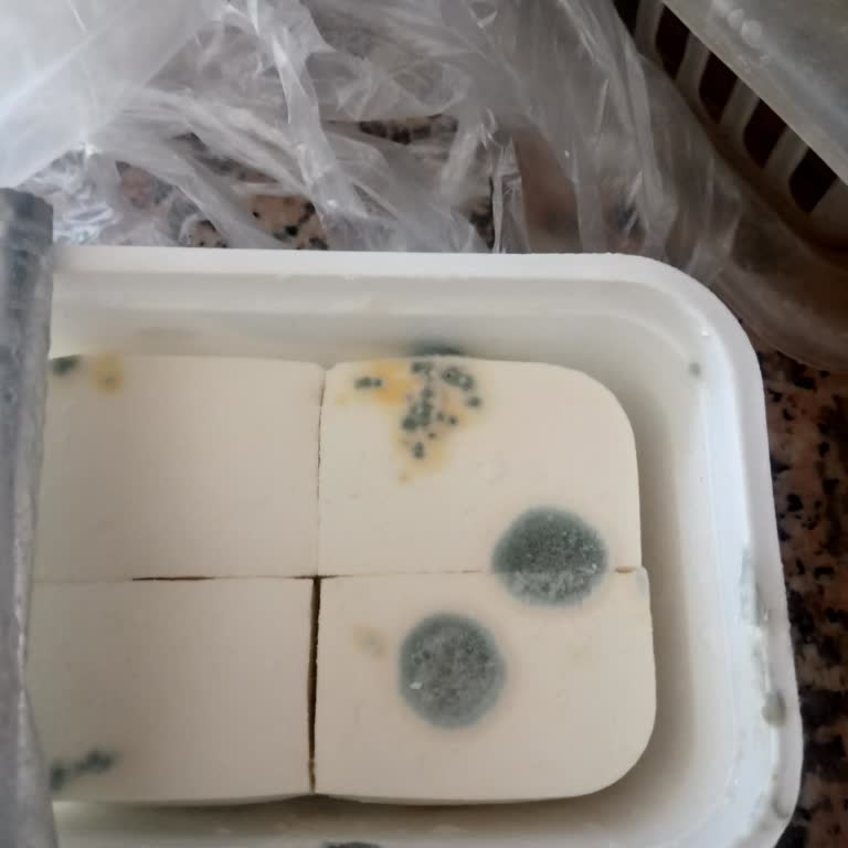 Mantar Görünen Peynir Ve Bozuk Soğutucular Gıda Güvenliğini Tehdit Ediyor