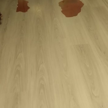 Siemens Derin Dondurucu Kapanmasıyla Gıda Kayıpları Ve Sürekli Mağduriyet