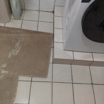Garanti Kapsamındaki Beko Çamaşır Makinesinde Tekrarlayan Su Sızıntısı Ve Yetkisiz Servis Sorunu