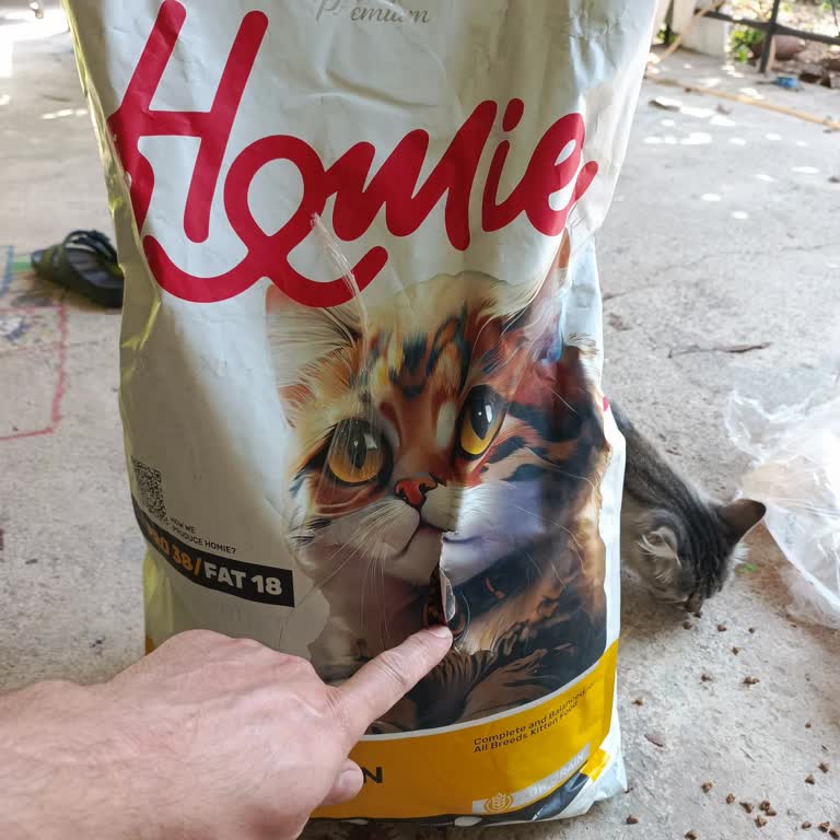 Yanlış Ve Hasarlı Kedi Maması Gönderimi