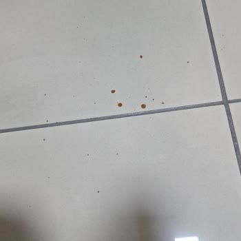 Tefal Buharlı Kırışık Giderici Yanık Kokusu Ve Sıvı Sızdırması, İletişimsizlik Ve İade Talebi