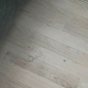 Aynı Ücret İçin Farklı Otel Kalitesi Ve Güvensiz Ulaşım Nedeniyle Tur Memnuniyetsizliği
