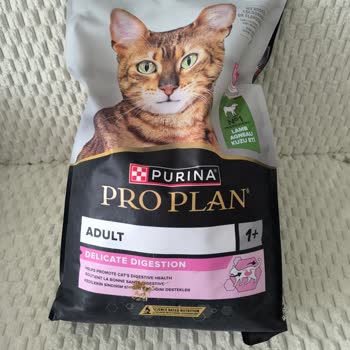 Pro Plan Kedi Maması Kötü Koku Ve Böcek İstilasıyla Sorun Yarattı