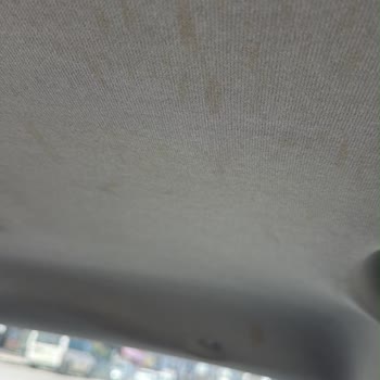 Budget'tan Kirli Araç Teslimi Ve Tavan Lekesi Şikayeti