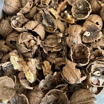 Altuğ Kuruyemiş Cevizlerin Büyük Kısmının Bayat, Kurtlu, Çürük Olması