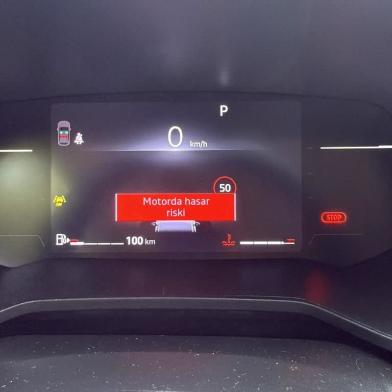 Arızalı Otomatik Araç, Araçsız Gün Ve Manuel Araç Verilmesi Nedeniyle 135 Euro Telafi Talebi