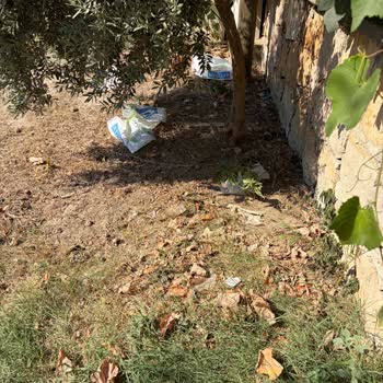 Hamidiye Mahallesinde İnşaat Atıkları Sokakları Kirletiyor
