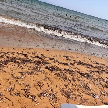 Nar Beach 3’te Kıyıya Yakın Kirli Alanın Acil Temizlenmesi Gerekiyor