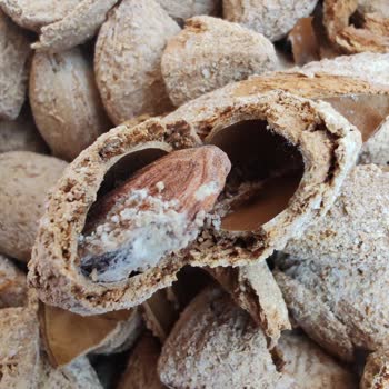 Antepsan Keyifçe A101 Sivas Şubesinde Kurtlu Ve Bozuk Bademler İçin İade Talebi