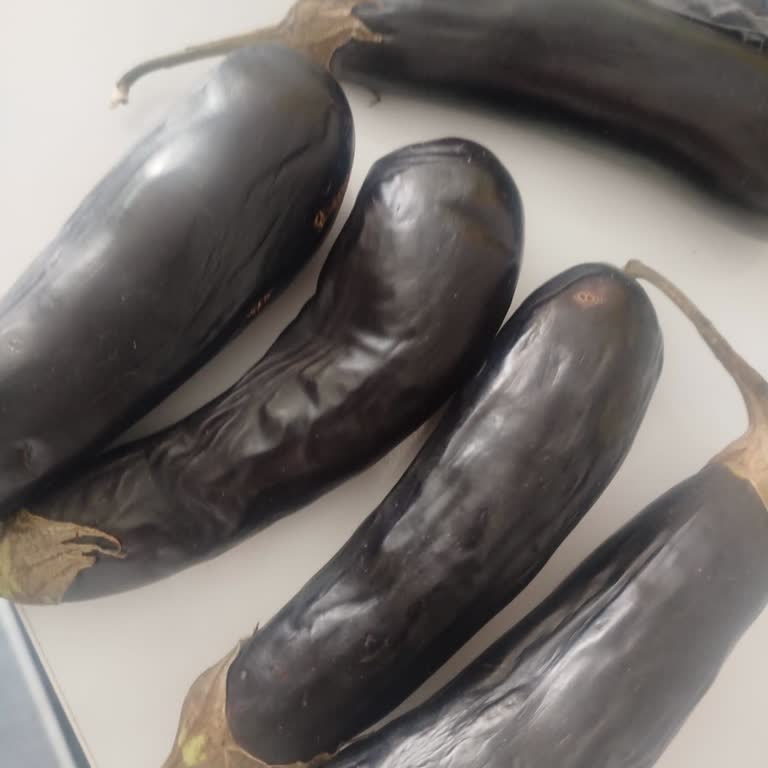 Şok Market Online Siparişte Tarihi Geçmiş Ve Bozulmuş Ürünler İade Sorunu