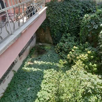 Klimanın Hatalı Montajı Su Sızdırıyor, Servis Cevapsız Kaldı