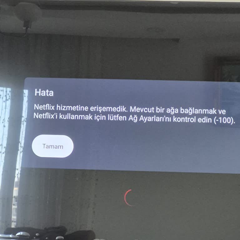 Netflix Çalışmayan Dijitsu Televizyonunda Ayıplı Mal Ve Yanıltıcı Reklam