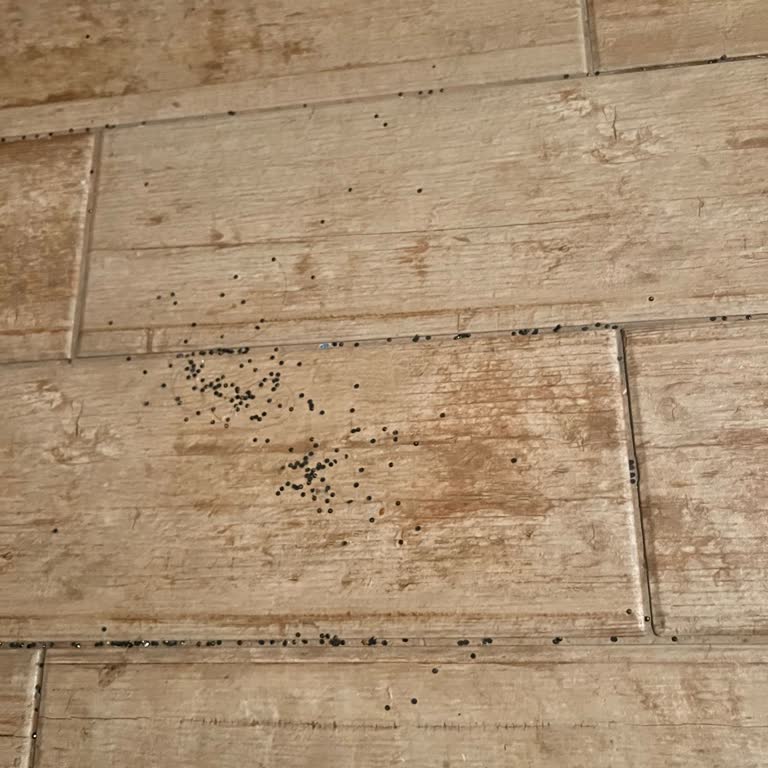 Kalitesiz Kot Takımda Yıkama Sonrası Pullar Dökülmesi Ve Haksız Kullanıcı Hatası