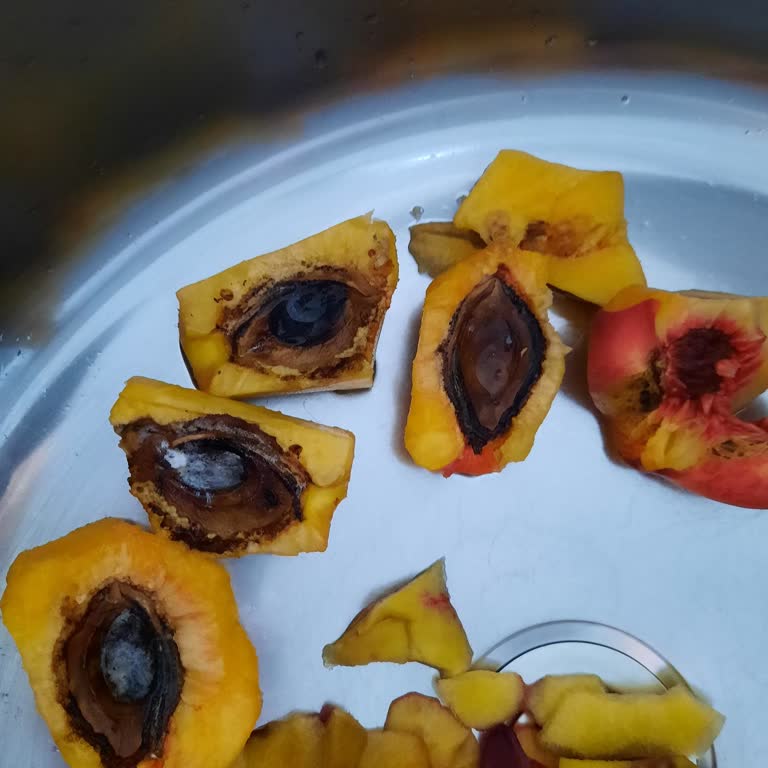 Meyveler Çürük Ve Küflü, Sürekli Kalitesiz Ürün