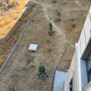 Site Görevlisinin Saygısız Tutumu Ve Bakım İhmali