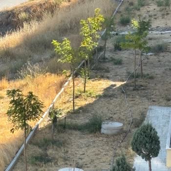 Site Görevlisinin Saygısız Tutumu Ve Bakım İhmali