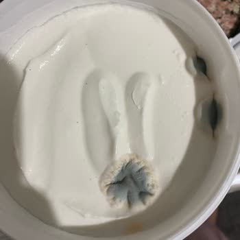 Şok Market’ten Küflü Yoğurt: Son Kullanma Tarihine 1 Gün Kalan Ürün Sağlık Riski Taşıyor