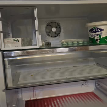 E10 Hata Kodu Nedeniyle Buzdolabım Çalışmadı, Servis Gelmedi Ve Gıdalarım Çöpe Gitti