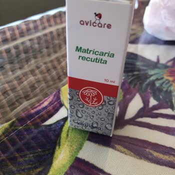 Yanlış İlaç Tedavisi Nedeniyle Muhabbet Kuşumun Ölümü Ve Hastane İlgisizliği