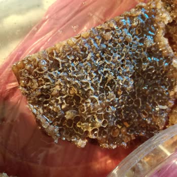 Hijyenik Olmayan Paketleme Ve Kalitesiz Organik Ürünler: Yumuşayan Zeytin Ve Şekerlenmiş Bal