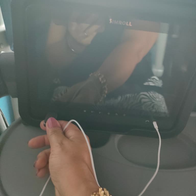 Varan Otobüsünde İnternet Ve Koltuk Arkası TV Çalışmaması Nedeniyle Ücret İadesi Talebi