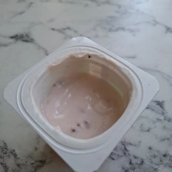 Activia Doğal Probiyotik Orman Meyveli Üründe Sinek Benzeri Canlı Bulundu