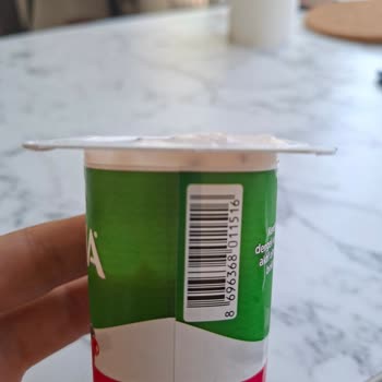 Activia Doğal Probiyotik Orman Meyveli Üründe Sinek Benzeri Canlı Bulundu