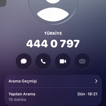 Sunexpress’te Evcil Hayvan Eklemek İçin Ödeme Reddedildi, Destek Bulunamadı