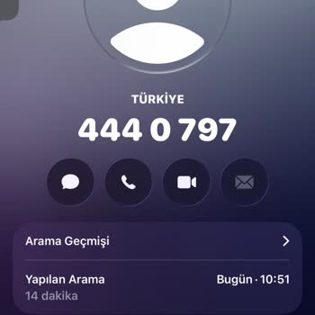 Sunexpress’te Evcil Hayvan Eklemek İçin Ödeme Reddedildi, Destek Bulunamadı