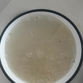 Son Kullanma Tarihi Geçmemiş Pirinçte Böcekler Bulundu, Sağlık Riski