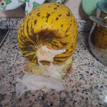Migros Hemen'den Çürük Kavun Teslim Edildi, İade Sözleri Tutulmadı