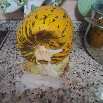 Migros Hemen'den Çürük Kavun Teslim Edildi, İade Sözleri Tutulmadı