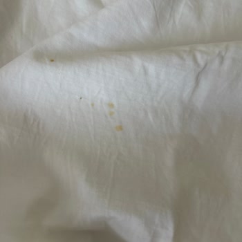 SEG Çamaşır Makinesinde Sürekli Lekeler Ve Kumaş Yırtılmaları