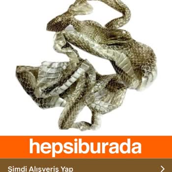Hepsiburada’nın Yılan Figürlü Reklamı Kullanıcıları Endişelendiriyor