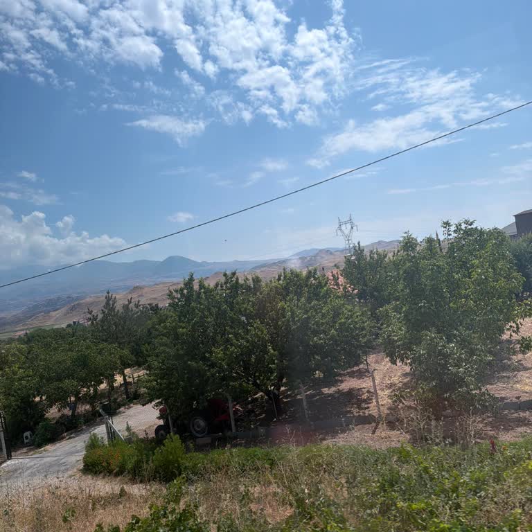 Bodrum’dan Kayseri’ye 18 Saatlik Gecikme Ve Bilgilendirme Sorunu