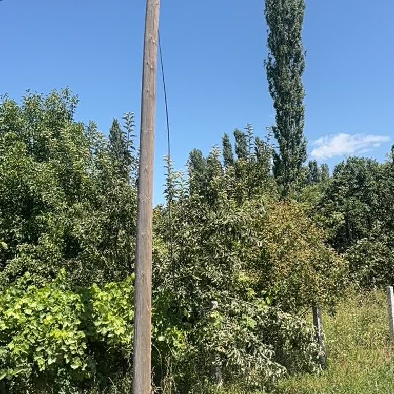 Kopan Telefon Hattı Sonrası İnternet Kesintisi Ve Çözüm Üretmeyen Türk Telekom