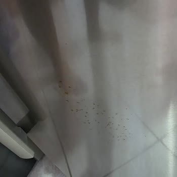 Garanti Kapsamında Paslanan Buzdolabı Kapakları Ücretsiz Değiştirilmeli