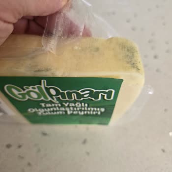Özdilek Şarküteride Küflü Tulum Peyniri Görünmez Yırtık Ve Sağlık Riski