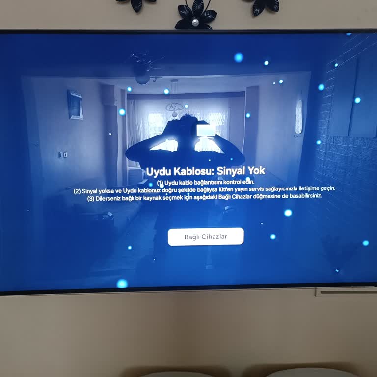 Uydu Sinyali Yok, Samsung Müşteri Hizmetleri Cevapsız