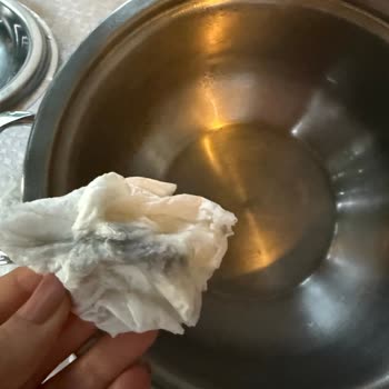 Village Kırkpınar Sapanca Eve Girdiğimizde İse Pislik Ve Düzensizlikle Karşılaştık