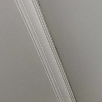 Tekirdağ Büyükşehir Belediyesi Sivrisinek Sorunu